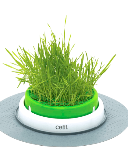 Catit Senses 2.0 Grass Planter