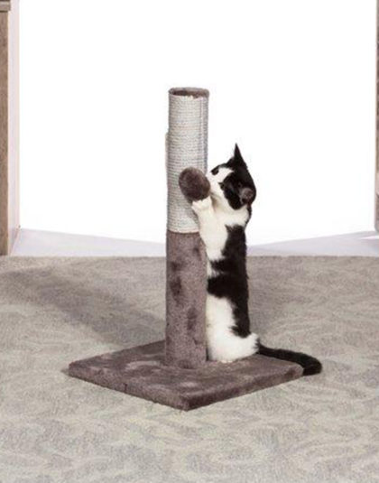 Rasguñador Prevue Pet Play & Scratch