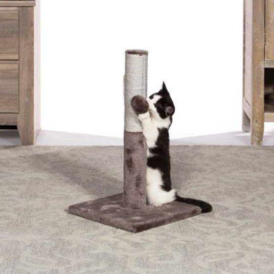 Rasguñador Prevue Pet Play & Scratch