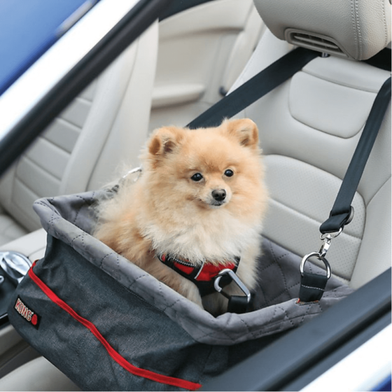 Kong Travel Bolso Para Asiento (Agotado) - Imagen 2