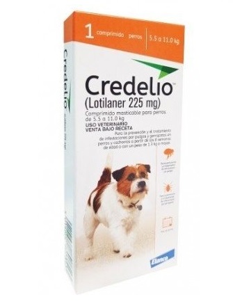 Credelio Perros 5,5- 11 kg 1 comprimido