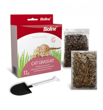 Cat Grass Kit