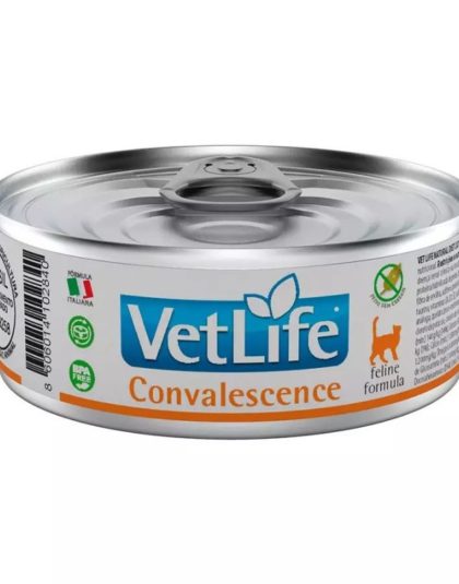 Lata VetLife Gato Convalescence