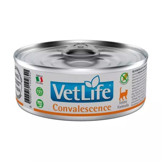 Lata VetLife Gato Convalescence