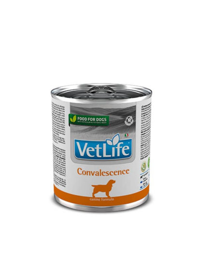Lata VetLife Perro Convalescence