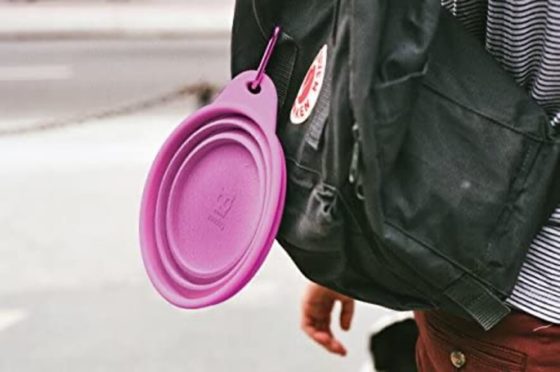 ZeeDog Go Bowl Pink Pórtatil y Retráctil 200 ml y 2 Litros - Imagen 2
