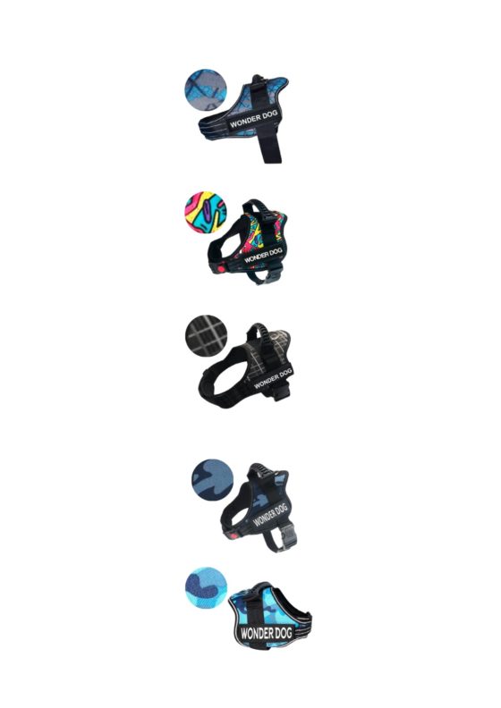 Arnes WonderDog Eco - Imagen 2