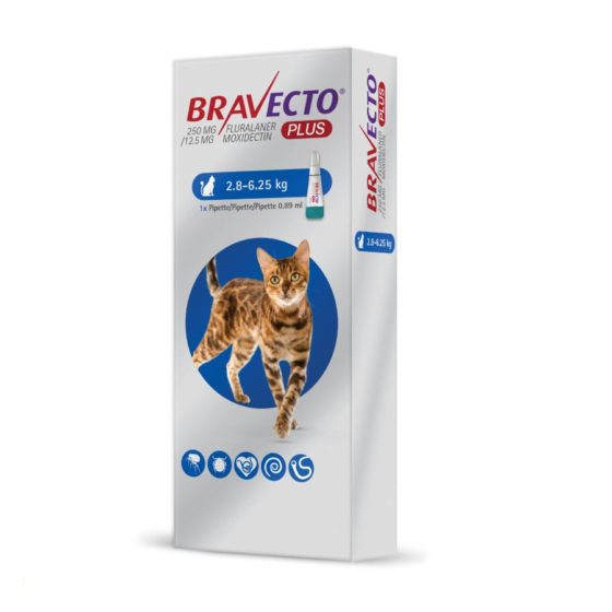 Bravecto Plus Gato 2,8 a 6,25kg