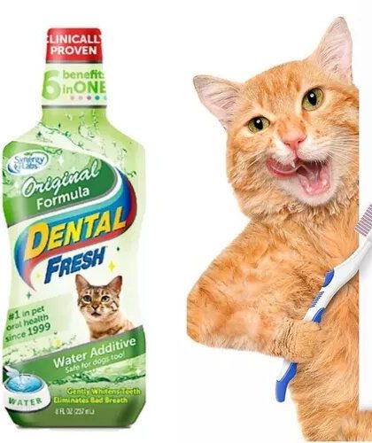 Dental Fresh Gato 273ml