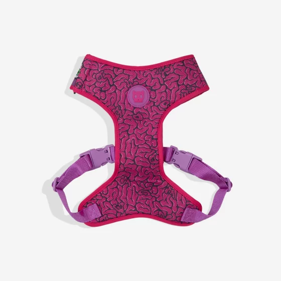 ZeeDog Adjustable Air Mesh Harness  Brain