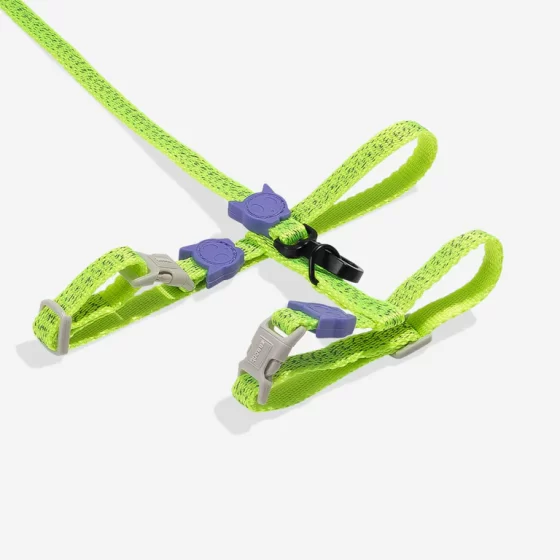 ZeeCat Harness with Leash Nox Lumen