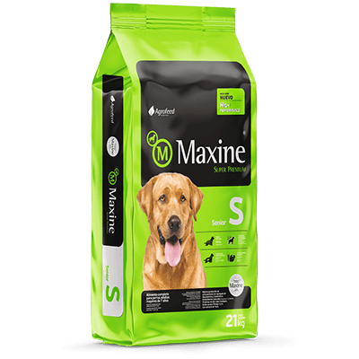 Maxine Senior 21 kg