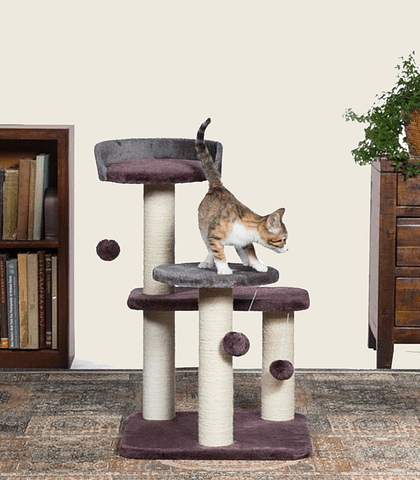 Rasguñador Prevue Pet Kitty Power Paws Play Palace