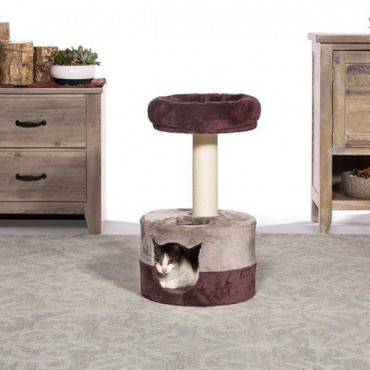Rasguñador Prevue Pet Kitty King