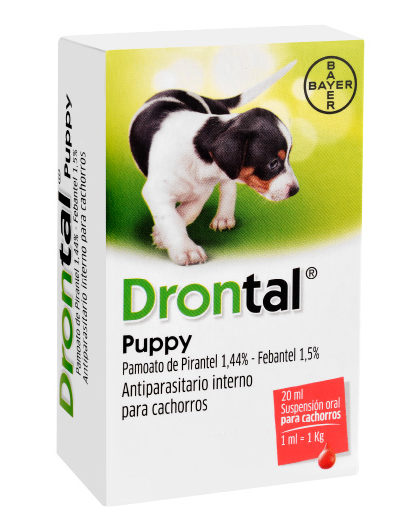 Drontal Puppy 20 ml