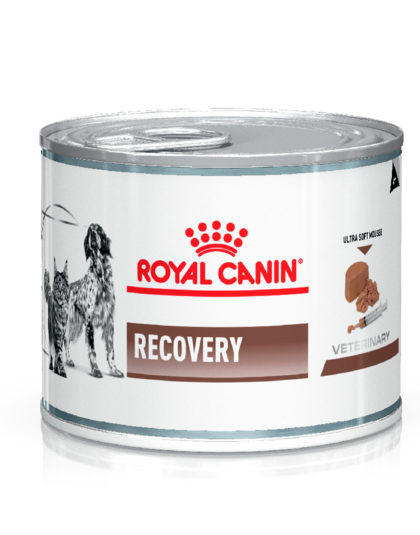 Lata Royal Canin Recovery Perros y Gatos 145 gr