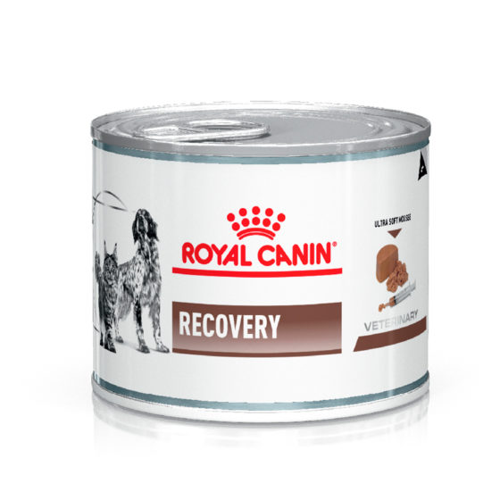 Lata Royal Canin Recovery Perros y Gatos 145 gr