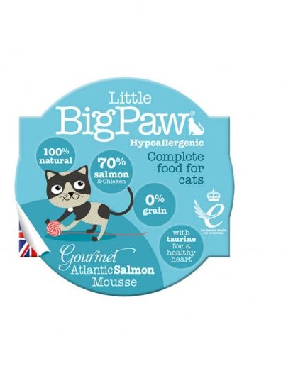 Little BigPaw Gato Salmón Atlántico 100 gr