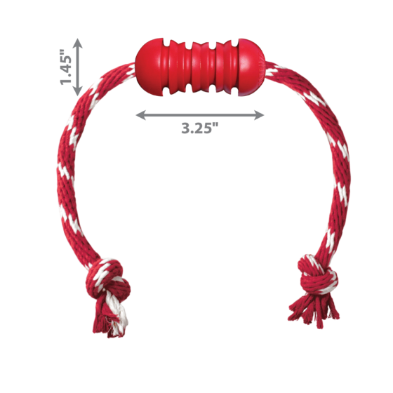 Kong Juguete Interactivo Dental - Imagen 2