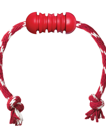 Kong Juguete Interactivo Dental