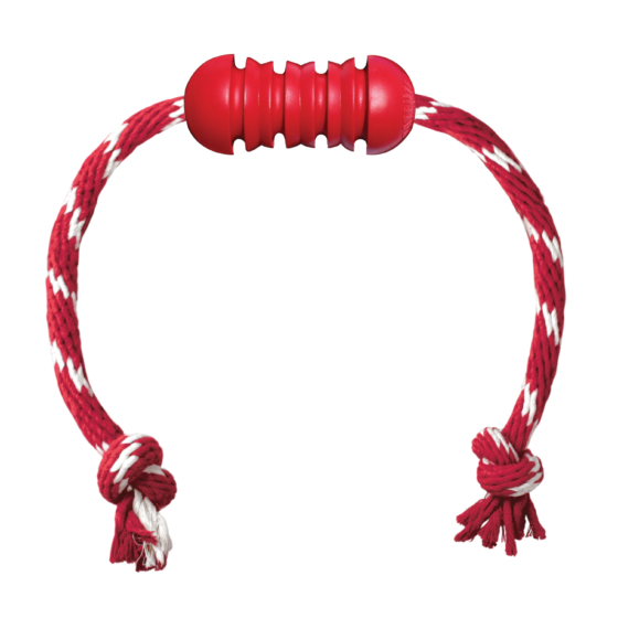 Kong Juguete Interactivo Dental