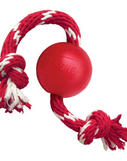Kong Juguete Interactivo Pelota con Cuerda