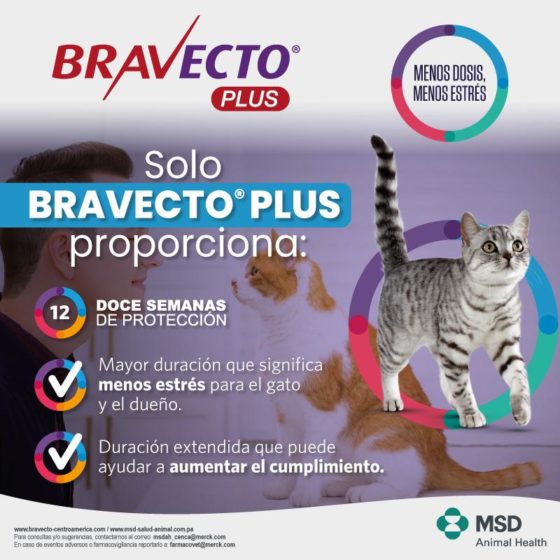 Bravecto Plus Gato 1,2 a 2,8kg - Imagen 2